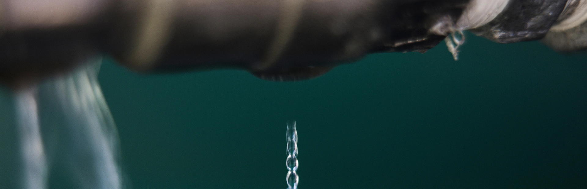 gallery breadcrumb hero